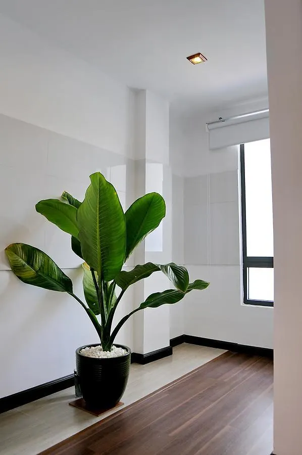 Stelle Hotel Nha Trang 3*,  Vietnam